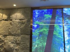 -恒坤北纬42度温泉洗浴(公园路店)