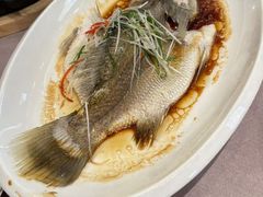 -东方御宴海鲜酒楼(棕泉酒店)
