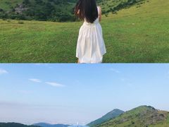 -大姆山草场