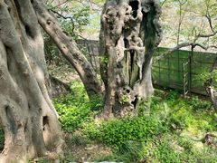 -幕燕滨江·燕子矶公园