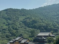 -树山生态村
