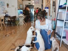 -Cappucimeow猫咪咖啡馆(韦伯时代店)