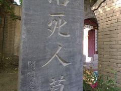 -活死人墓