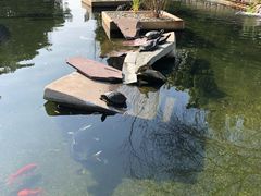 -灰石豪苑