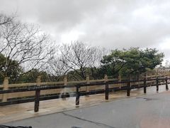 -普陀山风景区-佛顶山