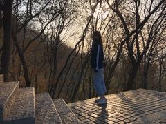 -紫金山山顶公园