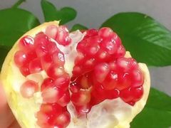 -鲜丰水果(九洲新世界花苑店)