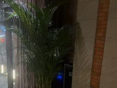 -浅深Cheersum(曹杨店)