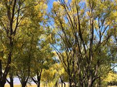 -野鸭湖国家湿地公园