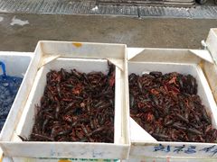 -王四营海鲜市场