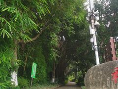 -仙岳公园