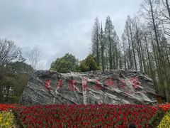 -东平国家森林公园