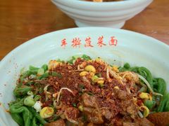 -手擀菠菜面(西康路店)