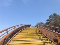-少华山国家森林公园