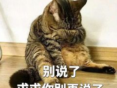 -老乌家特色小炒泡馍(大皮院店)
