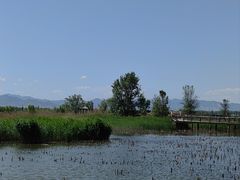 -野鸭湖国家湿地公园