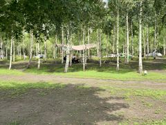 -哈尔滨大剧院