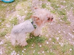 -龙美术馆(西岸馆)
