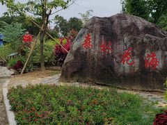 -广州市流溪河国家森林公园