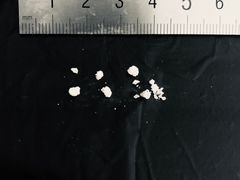 -立德动物医院·异宠·CT·鹦鹉(天河店)