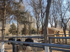 -长白岛森林公园