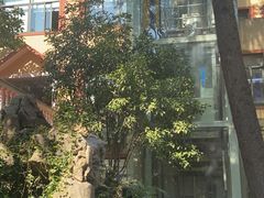 -上海市皮肤病医院(武夷路院区)