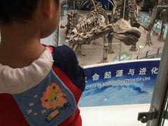-中国地质大学逸夫博物馆