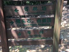 -火炉山森林公园