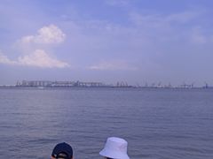 -海鸥岛