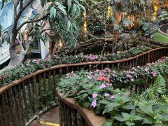 -正佳雨林生态植物园
