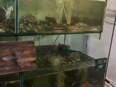 -岛中岛·海鲜大排档·万宁老字号(东澳店)