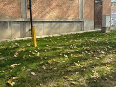 -西安电影制片厂