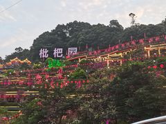 -枇杷园食为鲜火锅(南山店)