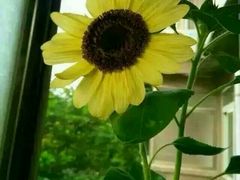-木兰围场