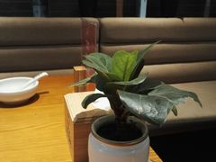 -丹江渔村(望京店)