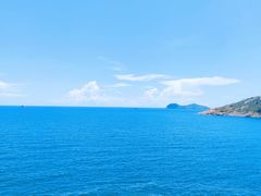 -广东惠东海龟国家级自然保护区