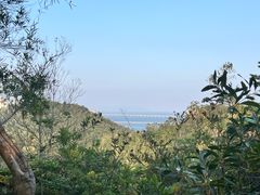 -珠海圆明新园