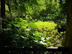 -良渚君澜度假酒店·中餐厅