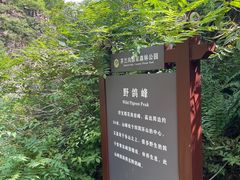 -茅兰沟国家森林公园