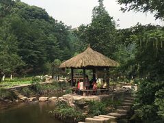 -重庆彩云湖湿地公园