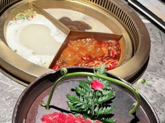 -麻路成都火锅(柏威年店)