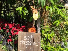 -Ohkajhu Organic Farm Sansai