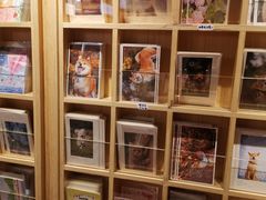 -猫的天空之城概念书店(苏州诚品店)