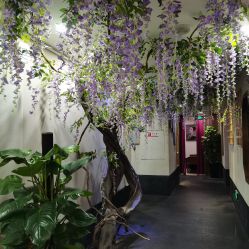 -盘子女人坊生日照·摄影馆(华强店)