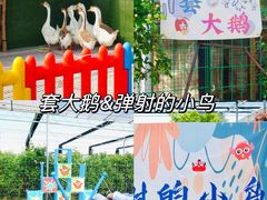 -栖露营camping·天幕烧烤·团建拓展·采摘营地