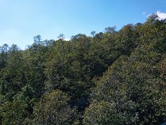-苍山感通索道