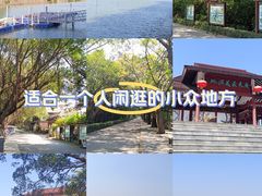 -大湾区中央湿地公园