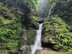 -碧峰峡风景区