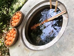 -苏州湾王焰温泉度假酒店