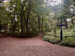 -井之头恩赐公园